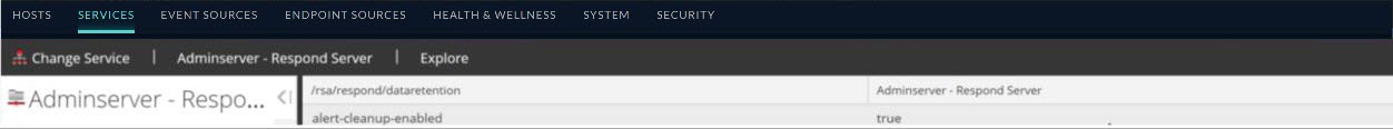 Respond Server View for setting up the parameter